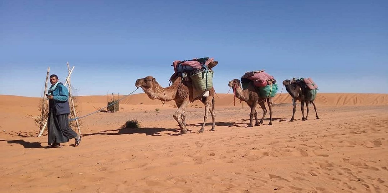 An African Travel Guide for January–March