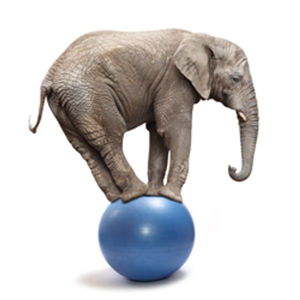 An elephant on a blue ball