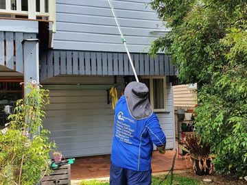 Exterior house wash
