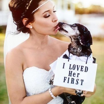Wedding Day with your furry friends
