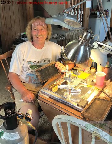 Me preparing for microscopic insemination of Queen bees with Drone cage in hand and Drones inside