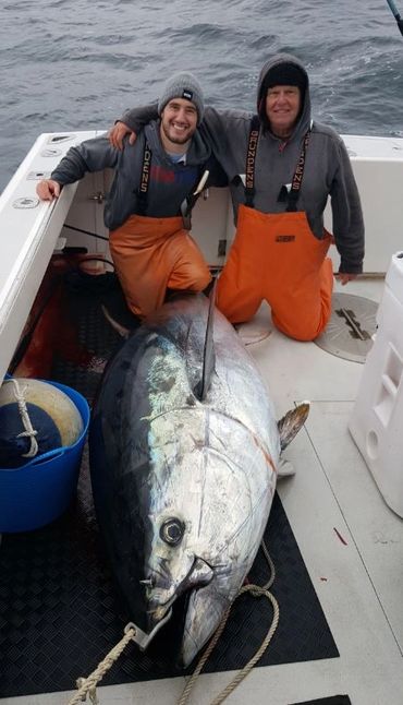 Giant bluefin tuna caught on Stellwagen bank.