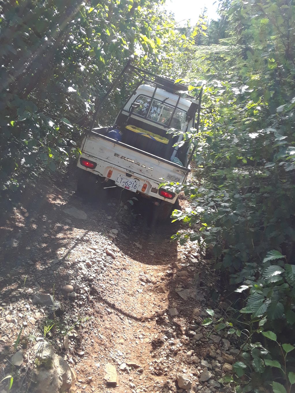 White pickup truck on a rocky forest trail surrounded by dense greenery.