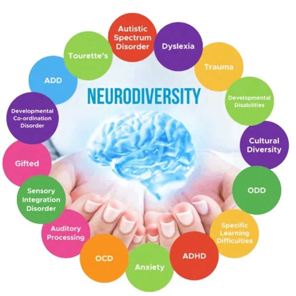 Visual representation of neurodiversity highlighting various conditions around a brain image.