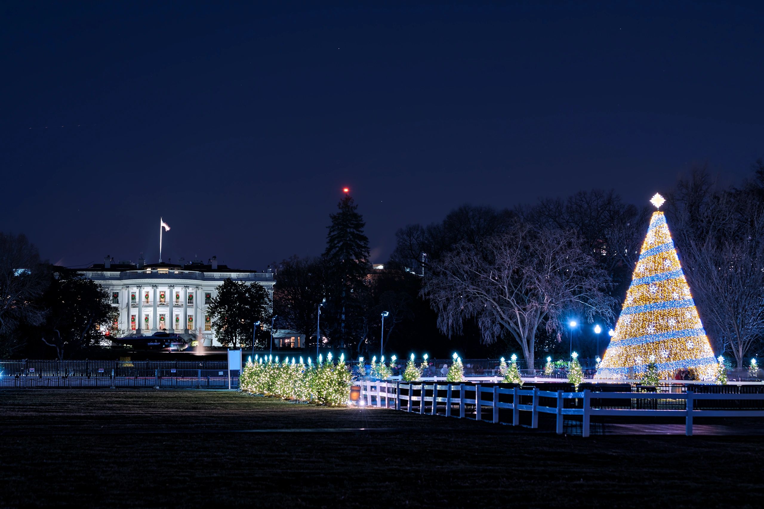 White House Ornaments