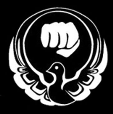 shintani karate