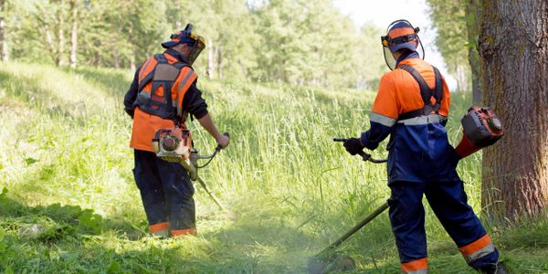 commercial landscaping