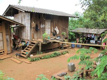 Jungle trek in Mae Taeng, Thailand