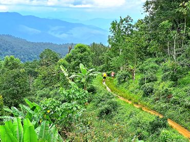 High mountain trek, Mae Taeng