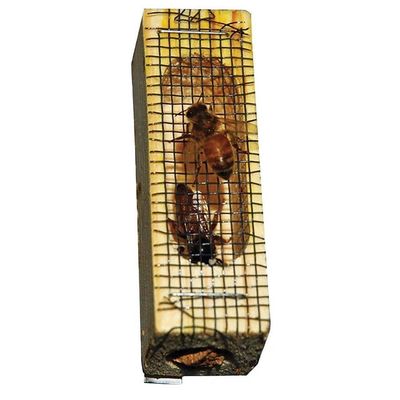 Photo from Mann Lake