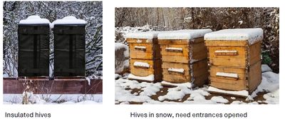 Two types of insulated beehives in snow.