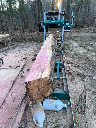 Cedar tree donated by one of our past clients