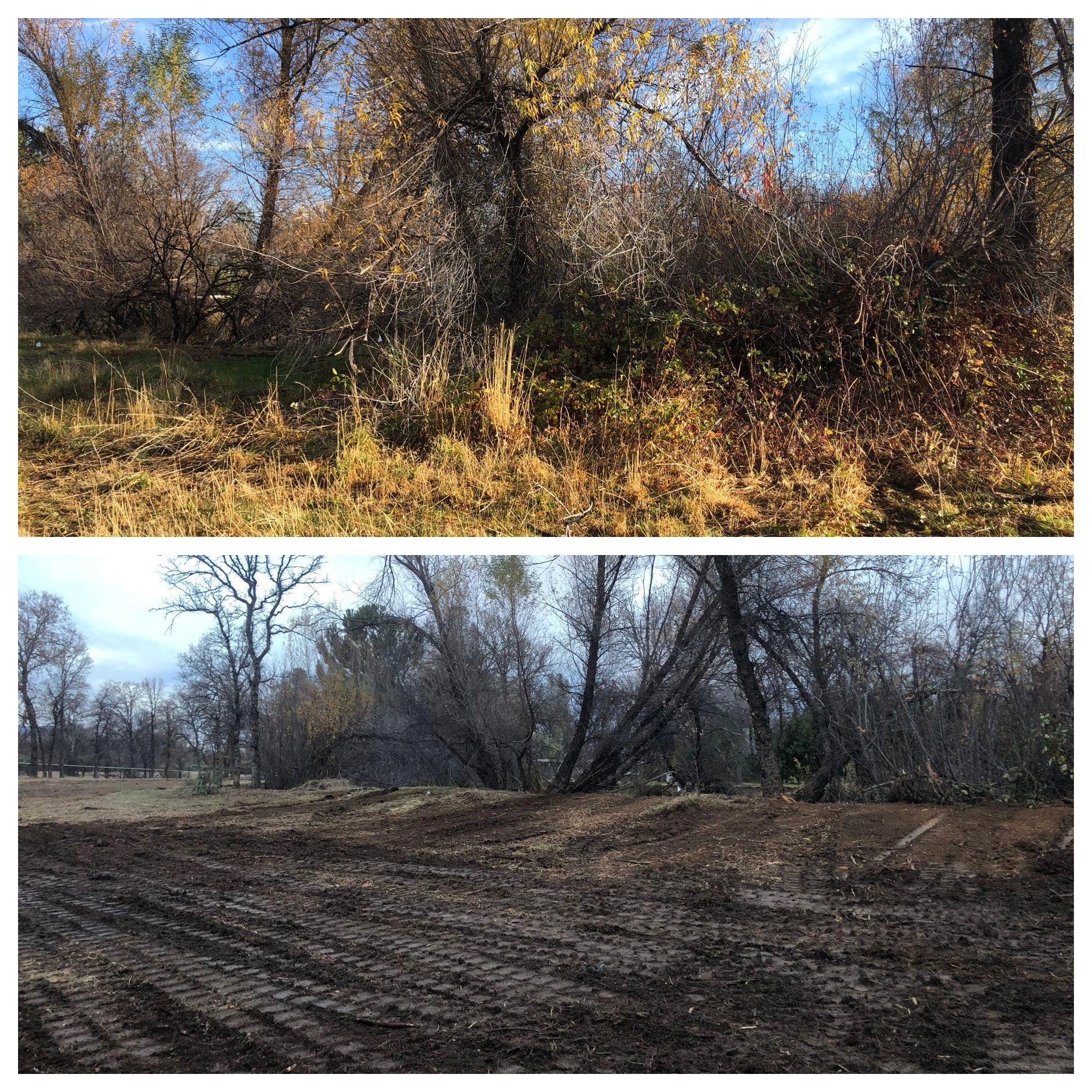 Property before and after land management