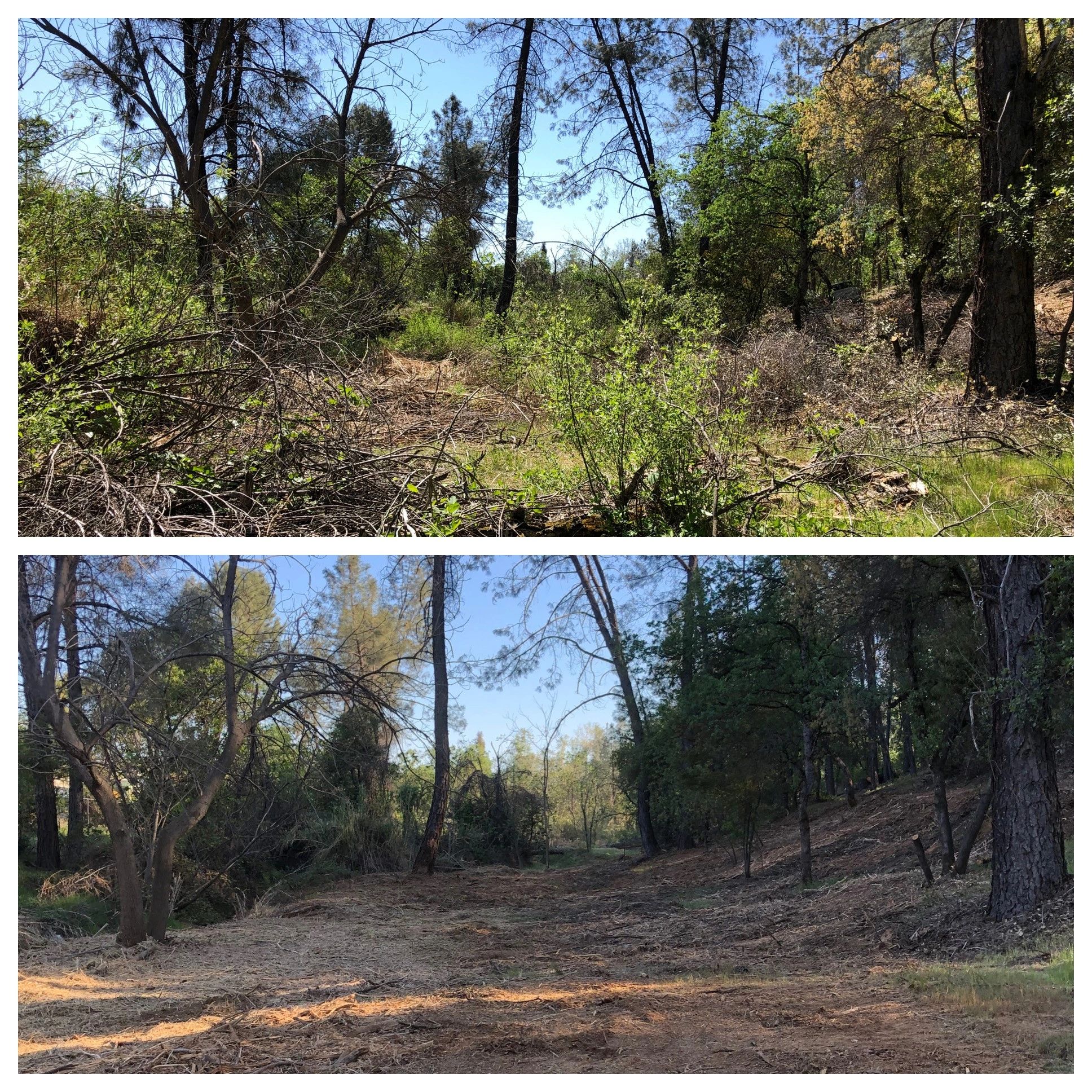 Property before and after land management