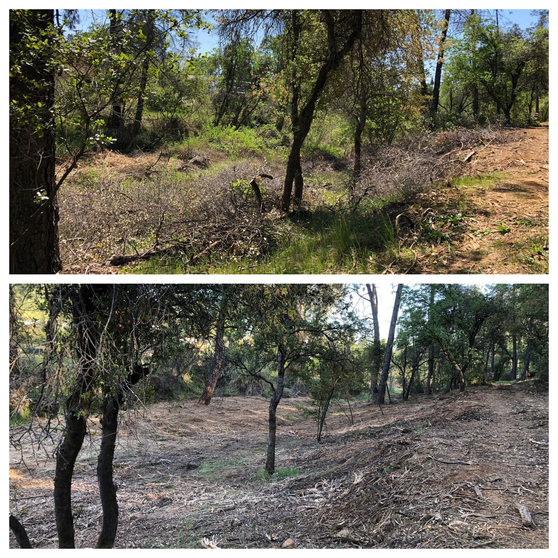 Property before and after land management
