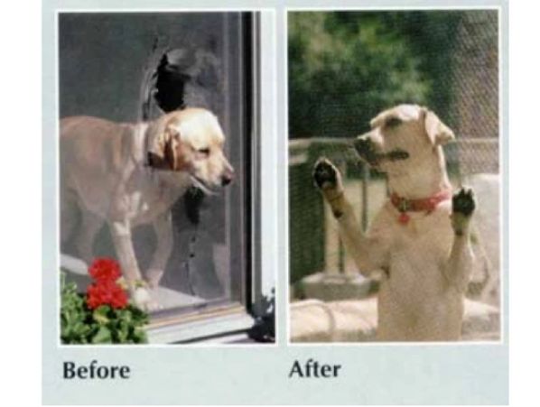 before and after of installing pet screen mesh prevent holes in your screens from your animals