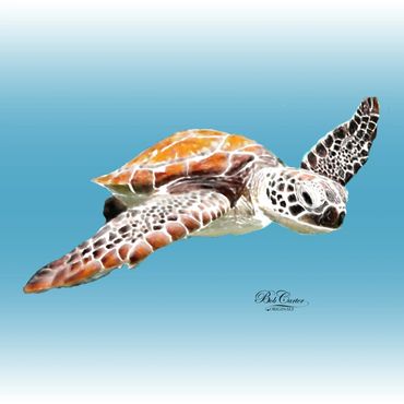 D7-Seaturtle