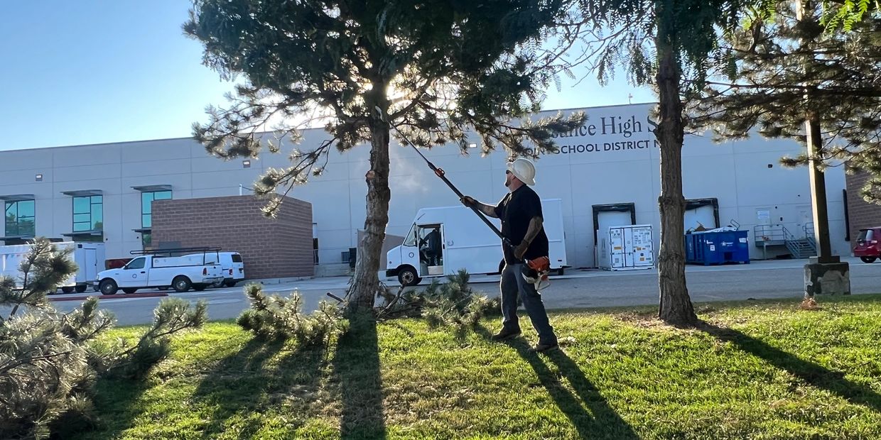 tree trimming contractor in Meridian Idaho