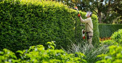 professional hedging service in Meridian Idaho