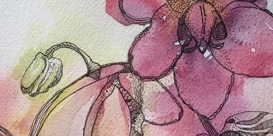 Close-up watercolor and ink drawing of pink orchid flower.