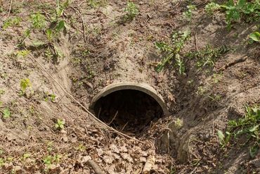 Concrete drainage pipe embedded in dirt and surrounded by sparse vegetation.