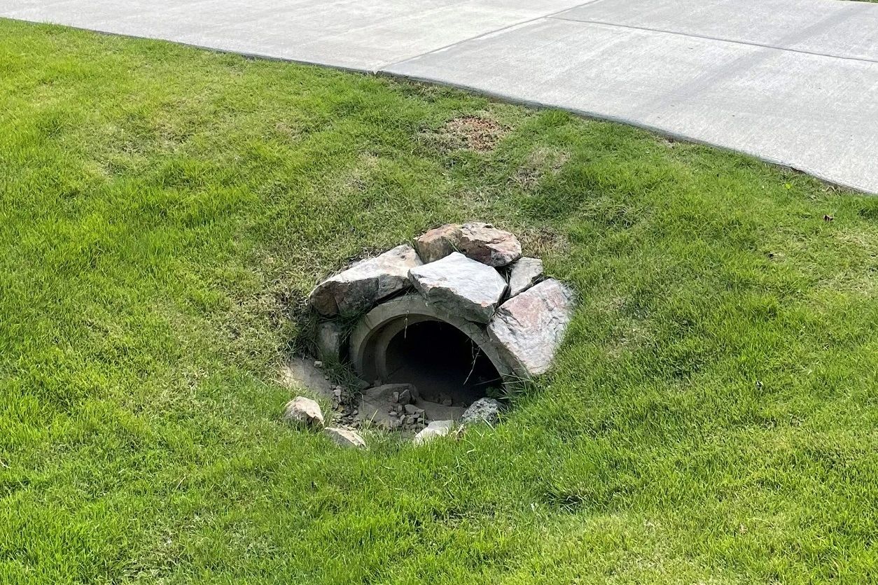 Stack of books next to pencils in a holder and a camera.