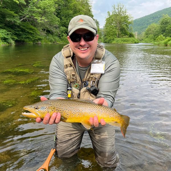 Fly fisherman holding a brown trout.