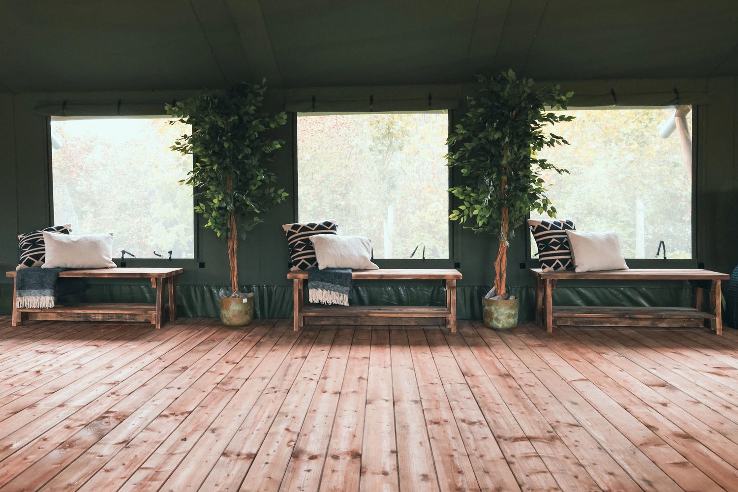 Three wooden benches with cushions and plants in a cozy room with large windows.