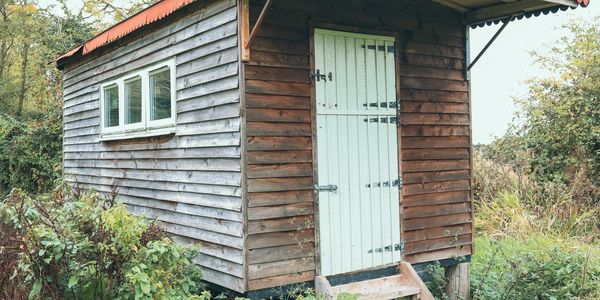 Rustic wooden shed with white door in a green garden.