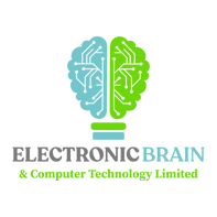Electronic Brain LLC