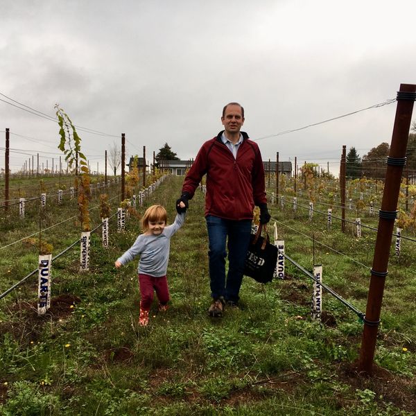 A man and child walking hand-in-hand through a vineyard on a cloudy day.