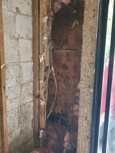Hidden Mold damage that has caused sever damage to the structure that was discovered by our company.