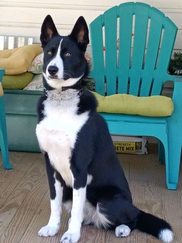 Bonnie is such a good huntress