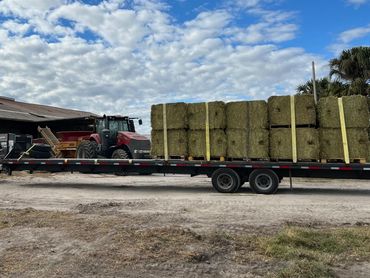 40 foot flat deck gooseneck hauling hay to feed livestock. Hay trailer for rent near Arcadia, FL. RD