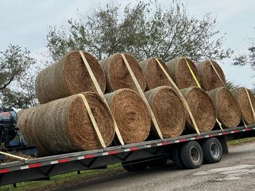 Hay hauling. Hay for sale Arcadia, florida. Trailers for rent near me in Desoto county.