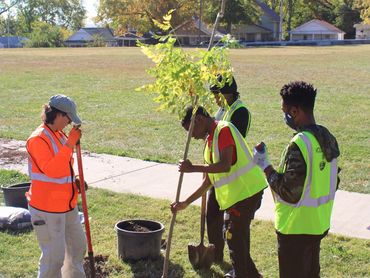 teens planting a tree for a Community Ambassador Project