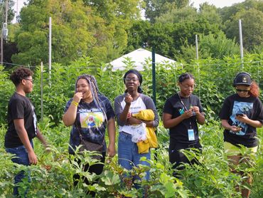 Group of teens trying berries at a community farm for a Community Ambassador Project