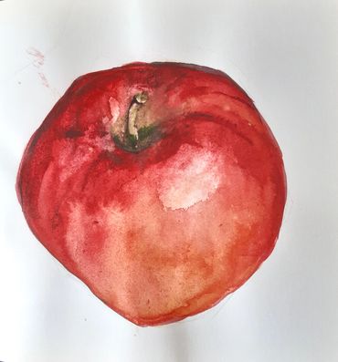 Naomi Tomkys
watercolour of an apple