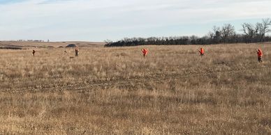 Pheasant hunting, South Dakota prairie, grasslands, CRP 