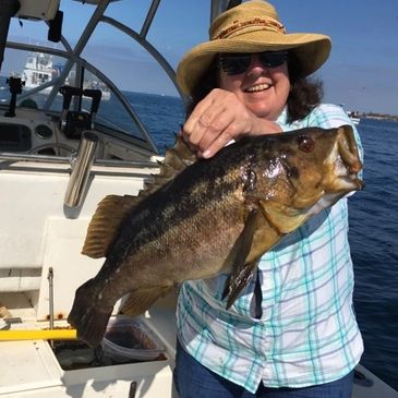 Fishing charters in Newport Beach Dana Point Catalina and Huntington Beach. Your local fishing guide
