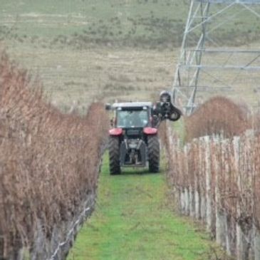 Vinepower New Zealand at work