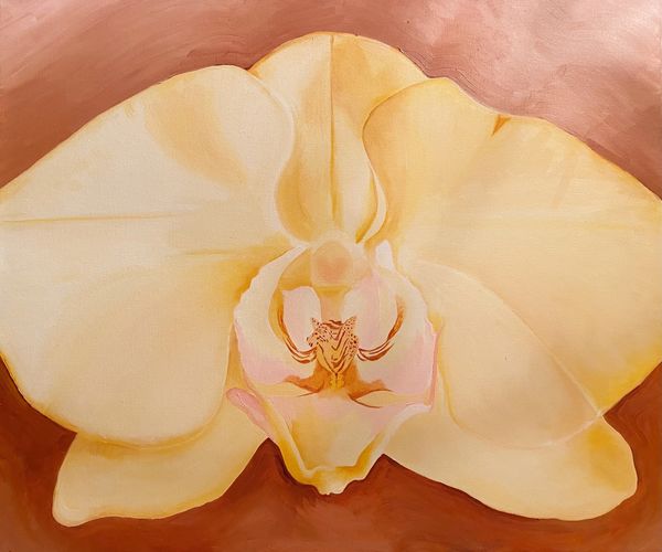 Warm Orchid
18 x 24 inch
Oil on Canvas