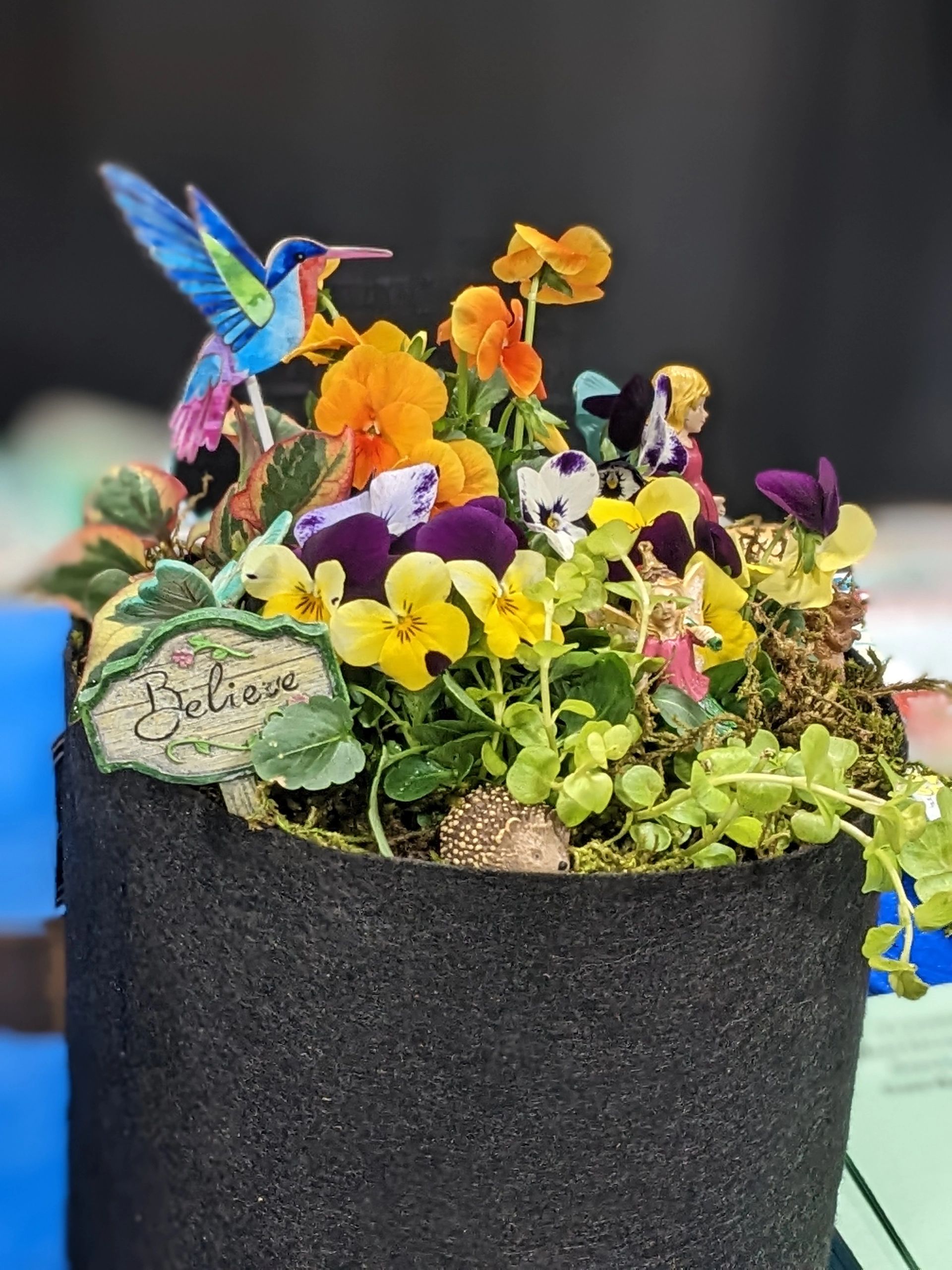 Fairy Garden by Sally Latimour