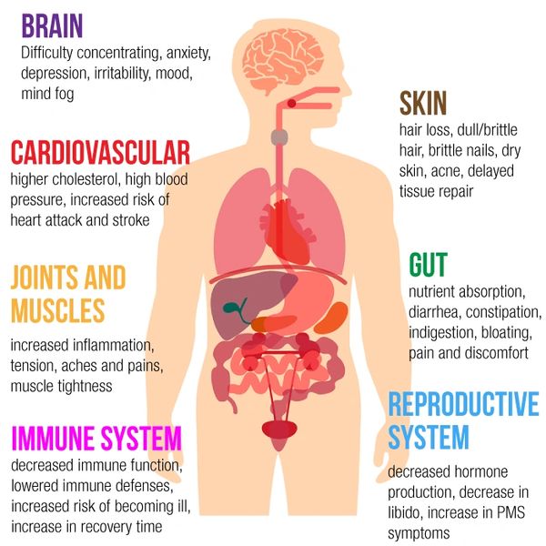 effects of stress on the body