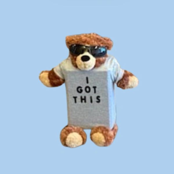 Teddy bear wearing sunglasses and a shirt that says 'I GOT THIS'.