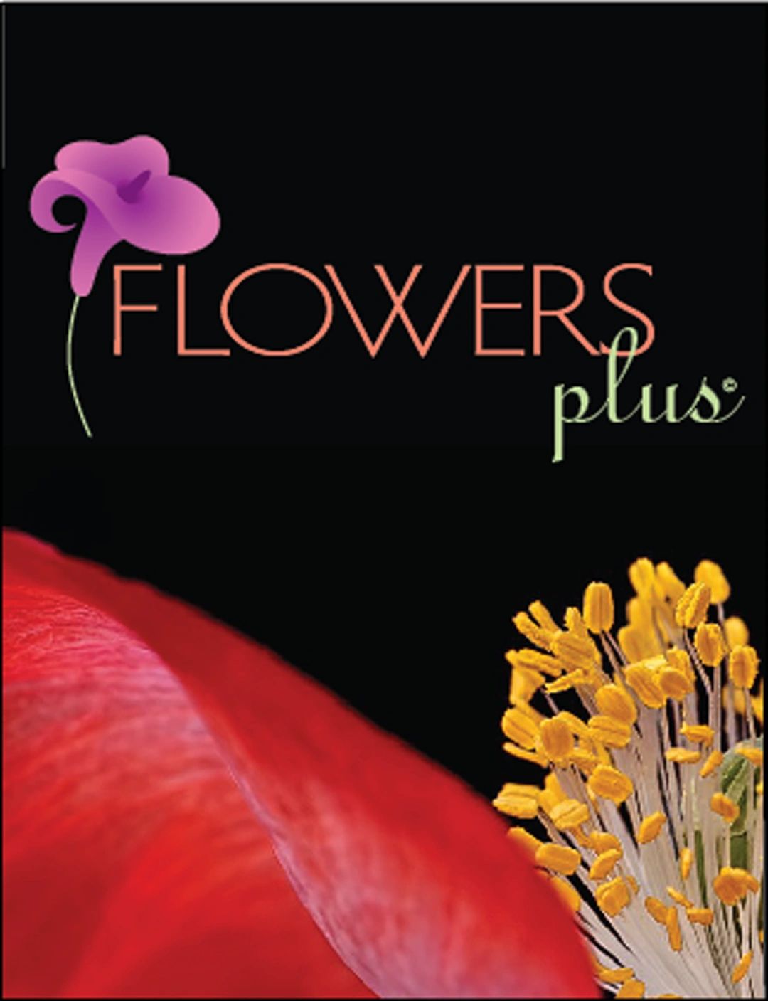 Flowers Plus full service florist in Charlotte NC