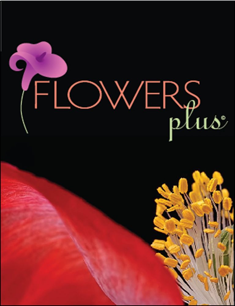 Flowers Plus full service florist in Charlotte NC
