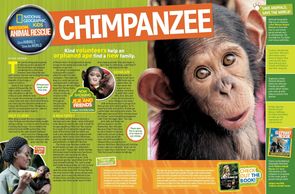 Chimpanzee Rescue