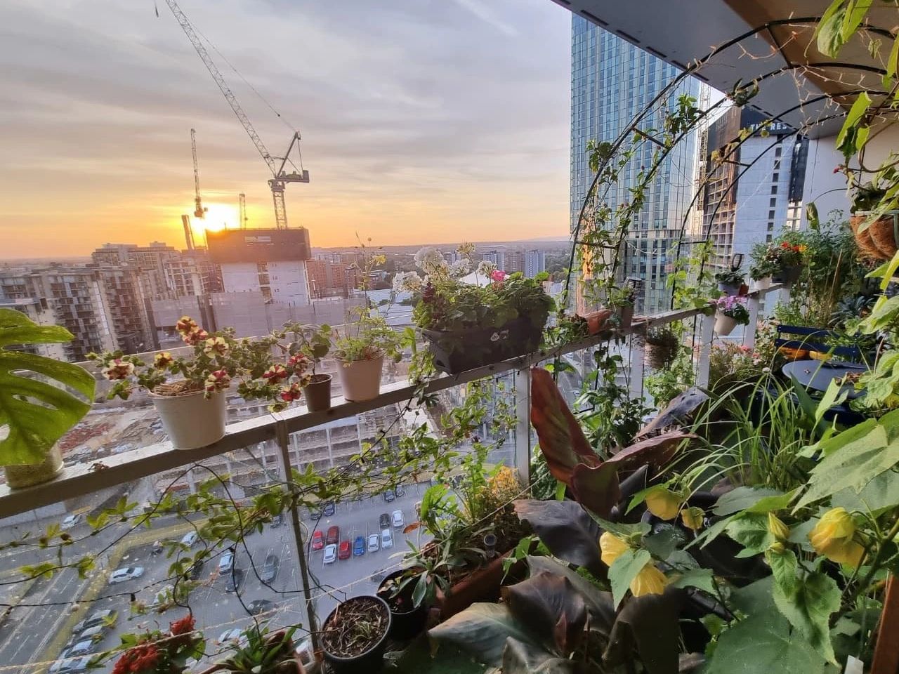 My Balcony Garden is called the Cloud Garden. A beautiful container garden by Cloud Gardener UK