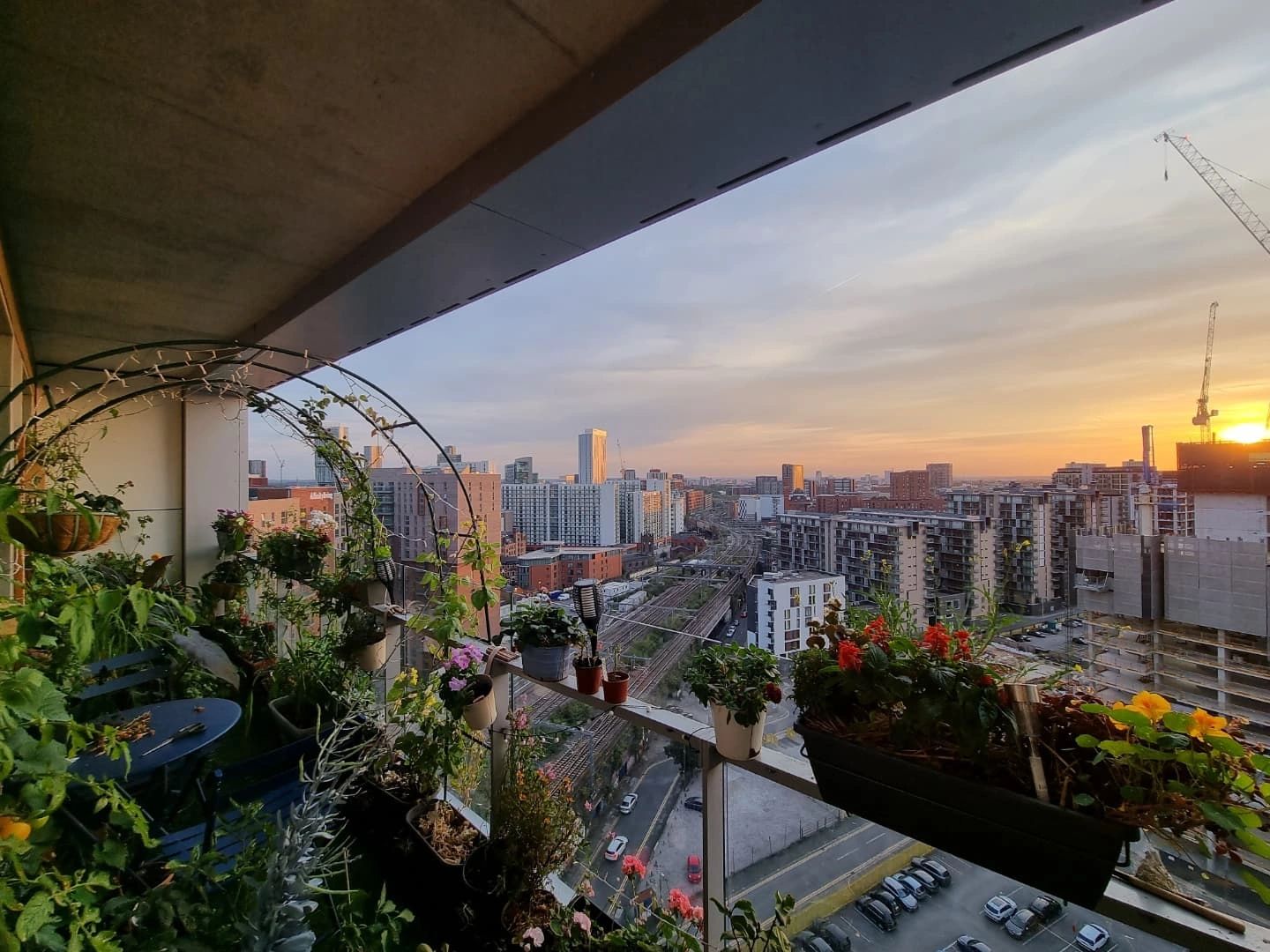 My Balcony Garden is called the Cloud Garden. A beautiful container garden designed by Cloud Gardene